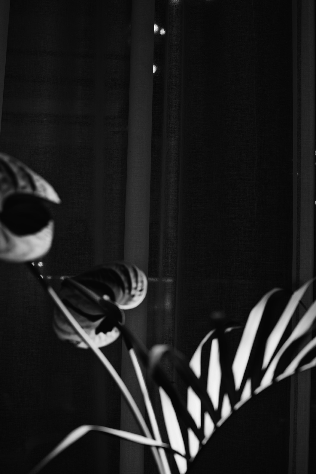 Suite pour l'Invisible